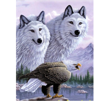 5D Elmas Boyama Kartallı Kurt Resmi Tablosu 40x60 cm