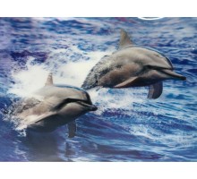 5D Elmas Boyama Sevimli Yunuslar İkili Yunus Resmi Tablosu 30x40 cm