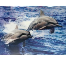 5D Elmas Boyama Sevimli Yunuslar İkili Yunus Resmi Tablosu 30x40 cm