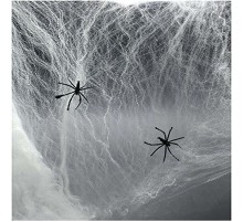 Beyaz Renk Örümcek Ağ ve Siyah Örümcekler Seti 60 gr