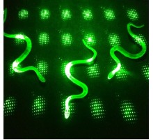 Şaka Yılan ve Kırkayak Karışık 36 Adet