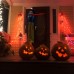 toptan-xml-dropshipping-Ses Sensörlü Cadılar Bayramı Halloween Konuşan Işıklı ve Hareketli Mega Boy Demirli Cadı 135 cm