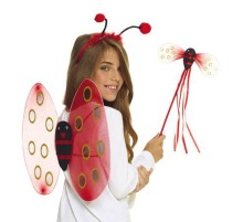 Uğur Böceği Kanat Seti Kanadı Tacı ve Asası Çocuk Boy