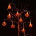 toptan-xml-dropshipping-Cadılar Bayramı Halloween Balkabağı Temalı Led Işık 2 Metre