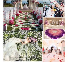 Beyaz Renk Gül Yaprağı Şekilli Konfeti 5 Paket 500 Adet