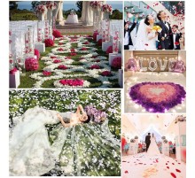 Beyaz Renk Gül Yaprağı Şekilli Konfeti 5 Paket 500 Adet