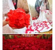 Kırmızı Renk Gül Yaprağı Şekilli Konfeti – 10 Paket 1000 Adet