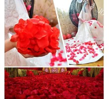 Kırmızı Renk Gül Yaprağı Şekilli Konfeti – 5 Paket 500 Adet