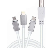 ZR362 Ads 501 Type-C 3 İn 1 Yazıcı Kablosu