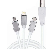 ZR362 Ads 501 Type-C 3 İn 1 Yazıcı Kablosu
