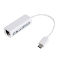 ZR264 815 Type-C Ethernet Çevirici