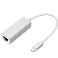 ZR117 Type-C Ethernet Metal Çevirici