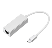ZR117 Type-C Ethernet Metal Çevirici
