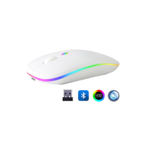 ZR215 Cba100 Rgb Beyaz Şarjlı Mouse