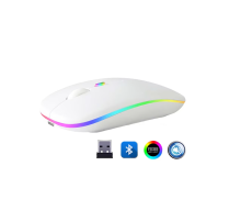 ZR215 Cba100 Rgb Beyaz Şarjlı Mouse