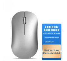 Hp Dm10 Gümüş Bluetooth Wireless Mouse
