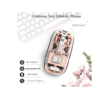 Pembe 501 Bt+ Wireless Mouse ZR1133