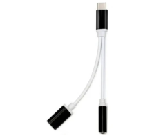 ZR310 Ft Ac 20 Type-C 2 İn 1 Çevirici