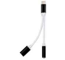 ZR310 Ft Ac 20 Type-C 2 İn 1 Çevirici