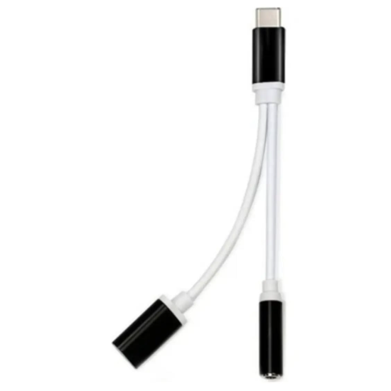 toptan-xml-dropshipping-ZR310 Ft Ac 20 Type-C 2 İn 1 Çevirici