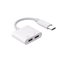 ZR293 Ftac42 Type-C 2 İn 1 Converter Adaptör