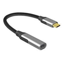 ZR125 Type-C Mini Dp Çevirici