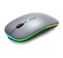 ZR215 Cba100 Rgb Füme Şarjlı Mouse