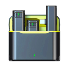 ZR569 V8 Type-C İkili Mikrofon