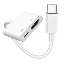 ZR666 Pd100 Type-C To Hdmı Çevirici