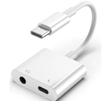 ZR733 Gl054-1 Type-C Aux Şarj Çevirici