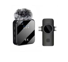 ZR1028 F13 İki Girişli Tekli Mikrofon