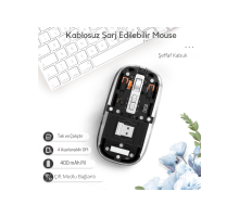 Siyah 501 Bt+ Wireless Mouse ZR1133