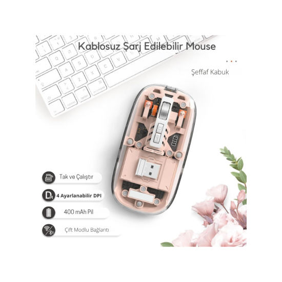 Pembe 501 Bt+ Wireless Mouse ZR1133