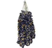 DOLMALIK PATLICAN YENİ MAHSUL ANTEP 20 İP X50ADET