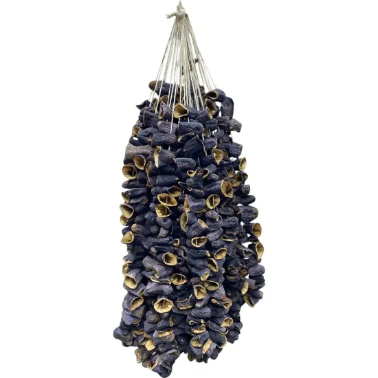 DOLMALIK PATLICAN YENİ MAHSUL ANTEP 20 İP X50ADET