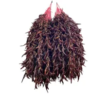 Kurutulmuş Kırmızı Sivri Biber 20 İp