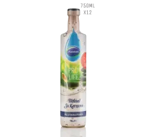 Pro Life Suyu (750 ML) 12 Adet
