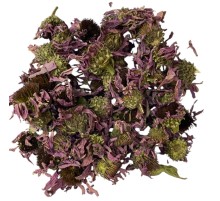 Kirpi Otu - Ekinezya 1KG