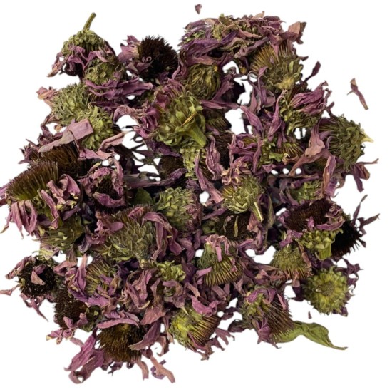 Kirpi Otu - Ekinezya 1KG