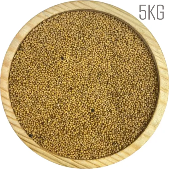 Sarı Hardal Tohumu 5KG