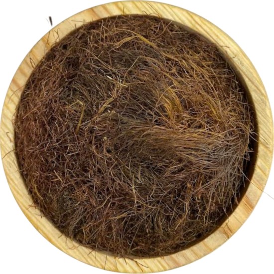 Mısır Püskülü 1KG