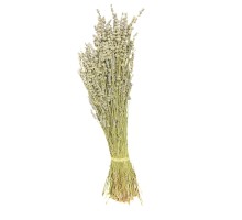 Lavanta 1 KG - 5 Demet