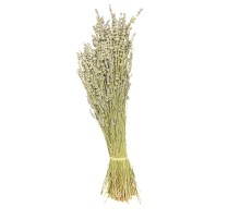 Lavanta 1 KG - 5 Demet