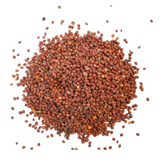 Turp Tohumu 1KG