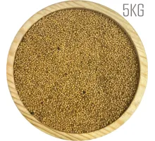 Sarı Hardal Tohumu 5KG