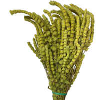Yayla Çayı 1KG