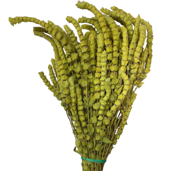 Yayla Çayı 1KG