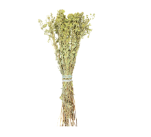 Kekik 1 KG