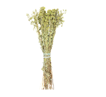 Kekik 1 KG