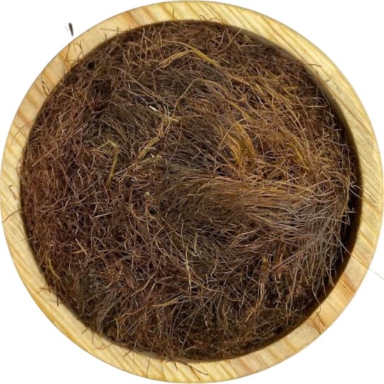 Mısır Püskülü 1KG